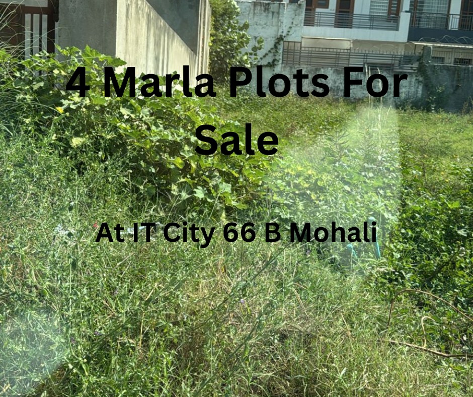 Plot For Resale in Sector 66 B Mohali  7701980