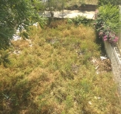 Plot For Sale in Shree Ram Vatika, Vatika
