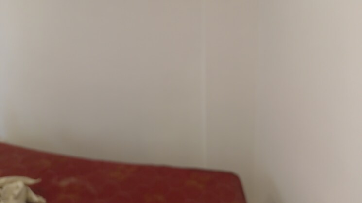 undefined, old rajinder nagar 3 Bedroom 870 Sq.Ft. Builder Floor In Old Rajinder Nagar Delhi 7702185