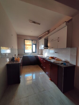 2 BHK Apartment For Rent in Sector 37 Gurgaon  7702258