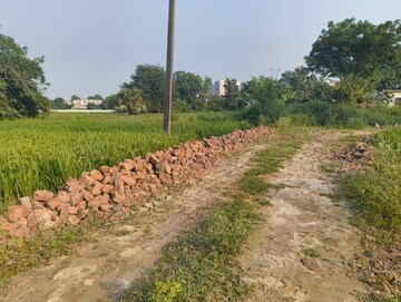 Plot Area in  Plot at Beldarichak – for Sale