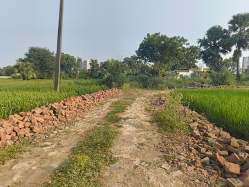 Plot Area in  Plot at Beldarichak – for Sale