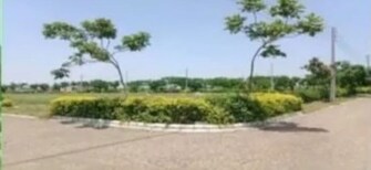 Plot For Resale in Ambala Cantt Ambala  7702024