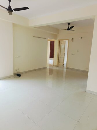 2 BHK Apartment For Rent in Panchsheel Pratistha Sector 75 Noida  7702568