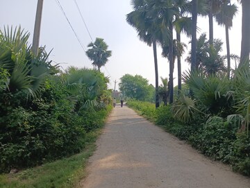  Plot – Map Location View at Ganpati Estate, Parao - for Sale