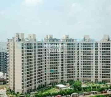 3.5 BHK Apartment For Rent in Central Park II-Bellevue Sector 48 Gurgaon  7702943