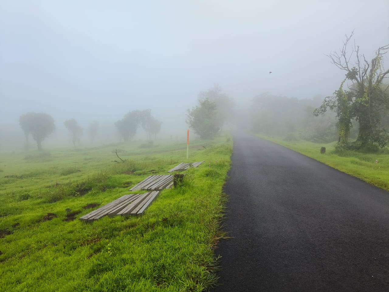 रेसिडेंशियल प्लॉट वर्ग फुट फॉर रीसेल इन मंगांव रायगढ़  7703144