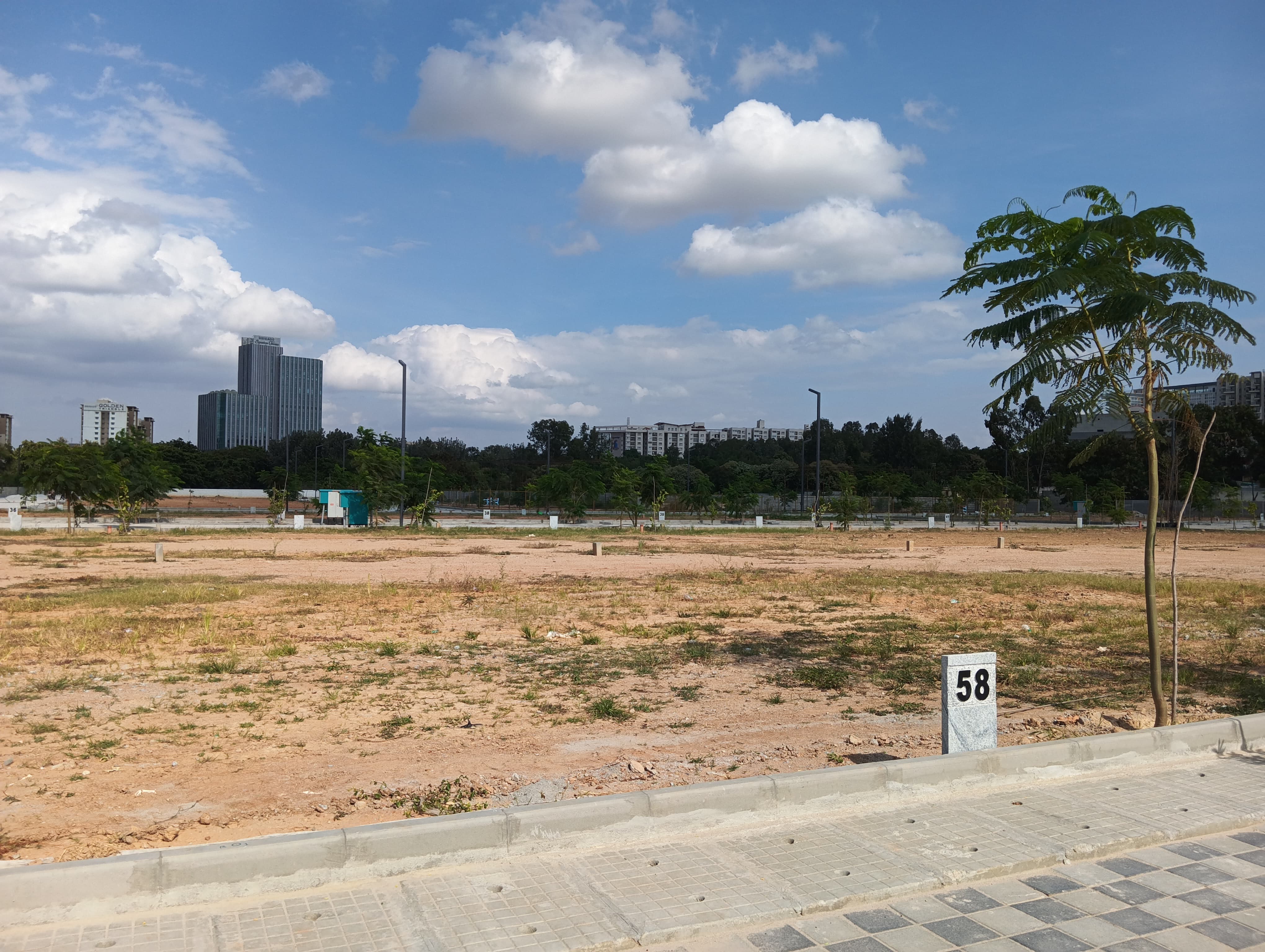 Plot For Resale in Whitefield Bangalore  7703291