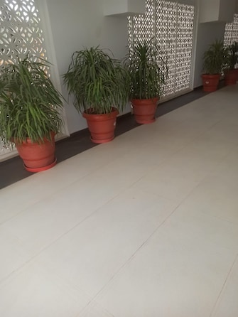 3 BHK Apartment For Resale in Central Park The Orchard Sohna Sector 33 Gurgaon  7703517