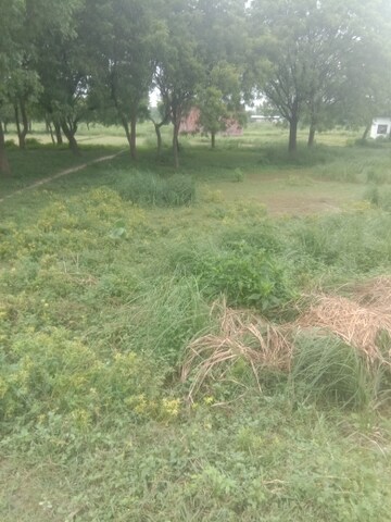  Plot For Sale in Sultanpur Road