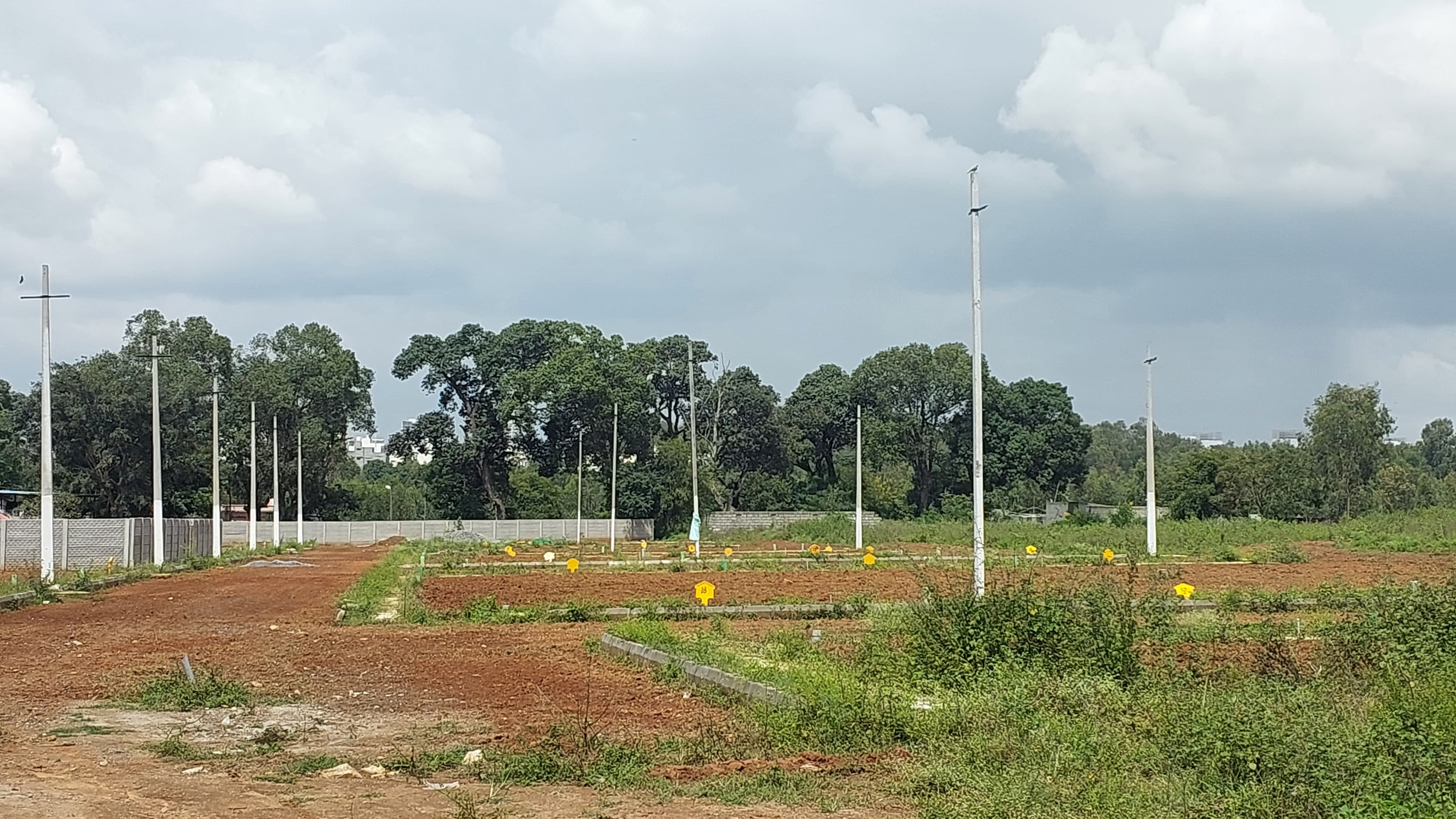 Plot For Resale in Electronic City Bangalore  7704150