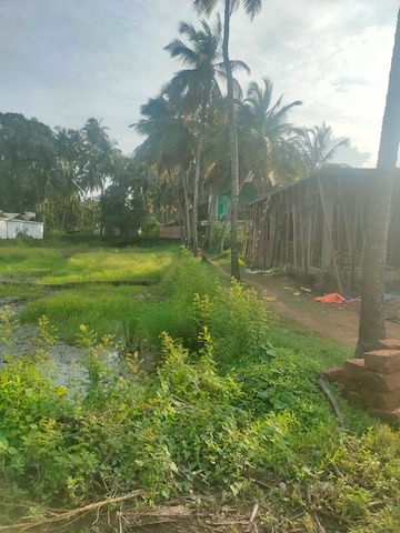 Plot For Rent in Morjim North Goa  7704202