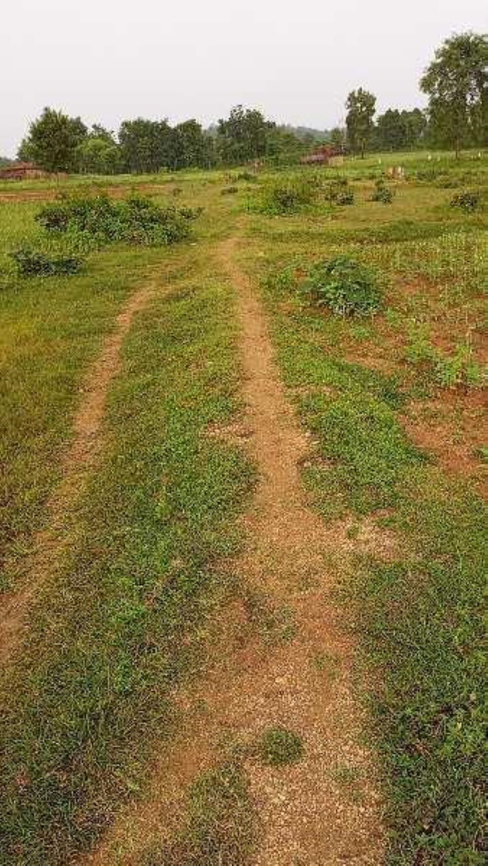 Resale 2340 Sq.Ft. Plot in BPTP Astaire Gardens, Sector 70a Gurgaon