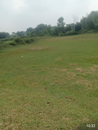 Commercial Land 25 Acre For Rent in Katkamsandi Hazaribag  7704772