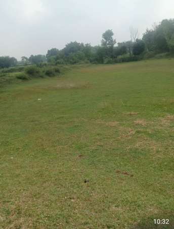 Commercial Land 25 Acre For Rent in Katkamsandi Hazaribag  7704772