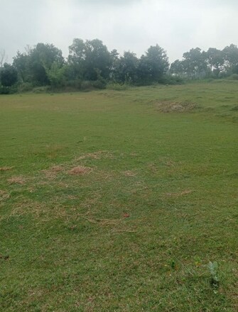 Commercial Land 25 Acre For Rent in Katkamsandi Hazaribag  7704772