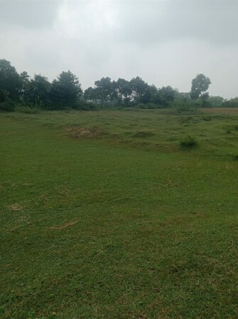 Commercial Land 25 Acre For Rent in Katkamsandi Hazaribag  7704772