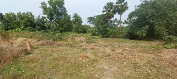 Plot Area in  Plot at AmtalA-Baruipur Road – for Sale