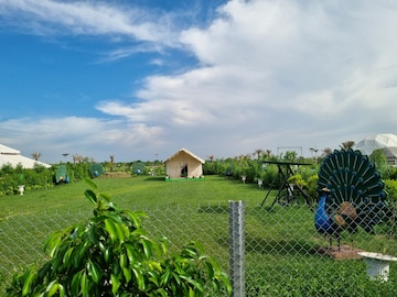  Plot – Garden View at Sector 16c Greater Noida - for Sale