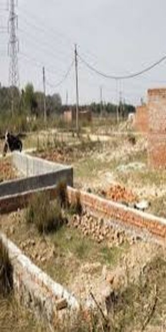 Plot For Resale in Barsana Mathura  7705039