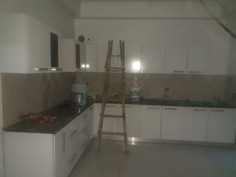 3 BHK Apartment For Rent in Sector 10 Greater Noida  7705183