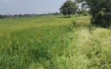 Land For Sale in Tirumala Residency Shamirpet, Shamirpet