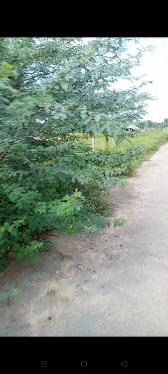 Plot For Resale in Happy Homes Shamirpet Shamirpet Hyderabad  7705369