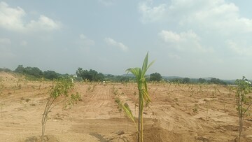 Plot For Resale in Jangaon Hyderabad  7705778