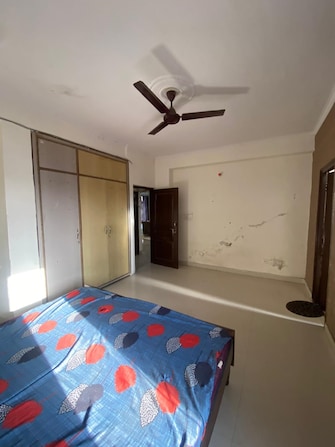 4 BHK Builder Floor For Rent in Sector 127 Mohali  7705827