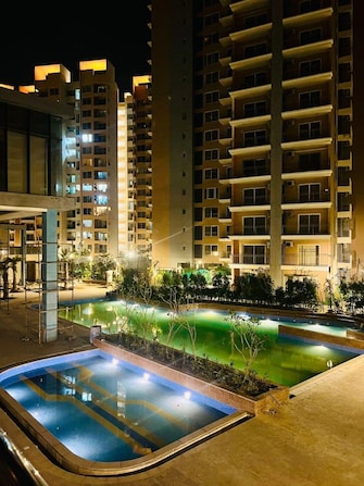 2 BHK Apartment For Resale in Shapoorji Pallonji Joyville Phase 2 Sector 102 Gurgaon  7706806