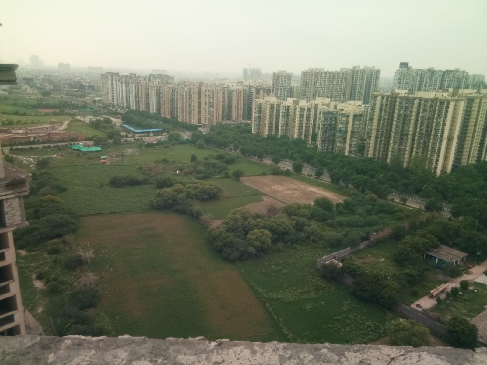 2.5 BHK Apartment For Rent in Supertech The Romano Sector 118 Noida  7707000