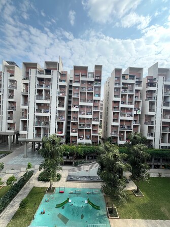 3 BHK Apartment For Rent in Rohan Abhilasha Wagholi Pune  7707098