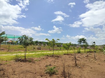 Plot Area in  Plot at Veltur – for Sale