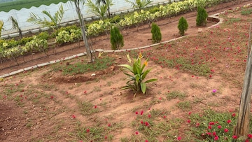  Plot – Garden View at Sri Bhumi Eeshaanya, Kankipadu - for Sale