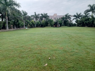 Plot For Resale in Mandi Delhi  7708261