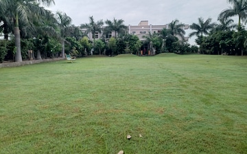 Plot For Sale in Mandi