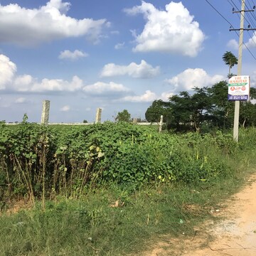 Plot Area in  Plot at Ivc Road – for Sale