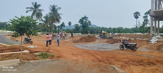 Plot For Resale in Kothapet Vizianagaram  7708442