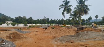 Plot For Resale in Kothapet Vizianagaram  7708442