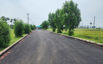 Plot For Sale in Kothavalasa