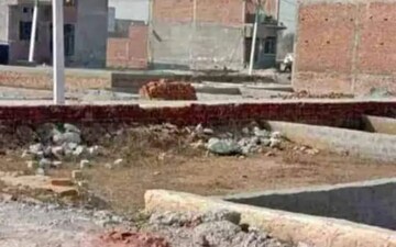 Plot For Sale in Kaliawas