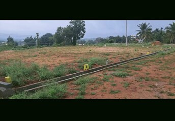 Plot For Resale in Chunchanaguppe Bangalore  7709687