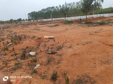 Plot For Resale in Shabad Hyderabad  7709752