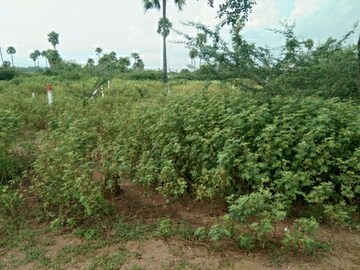 Plot Area in  Plot at Vanasthalipuram – for Sale