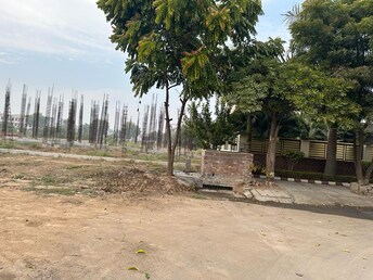 Plot For Resale in Sector 110 Mohali  7710212