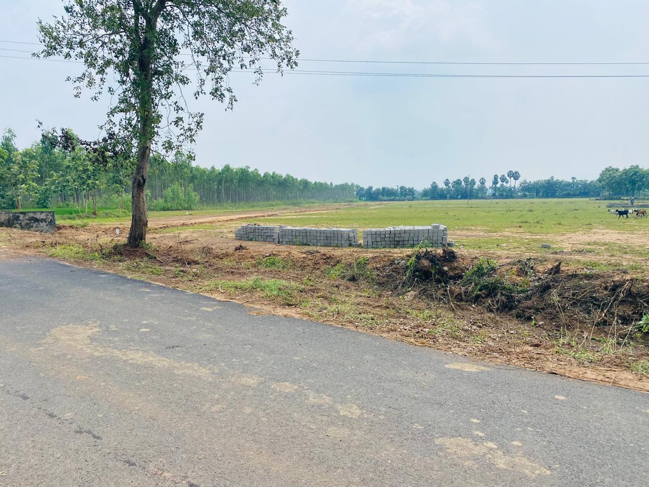 Plot For Resale in Gajapatinagaram Vizianagaram  7710554