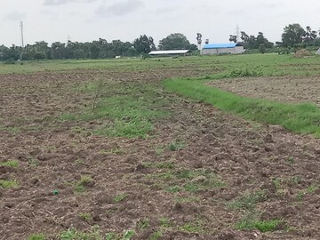Plot Area in  Plot at Moinabad – for Sale