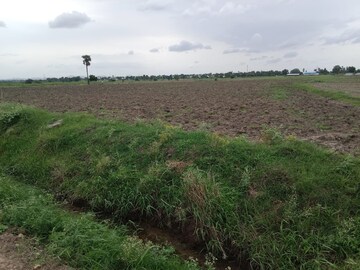 Plot Area in  Plot at Moinabad – for Sale