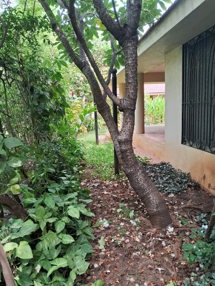 Garden, suma-padma-vilas-enclave 4 Bedroom 5524 Sq.Ft. Villa In Wanowrie Pune 7710641