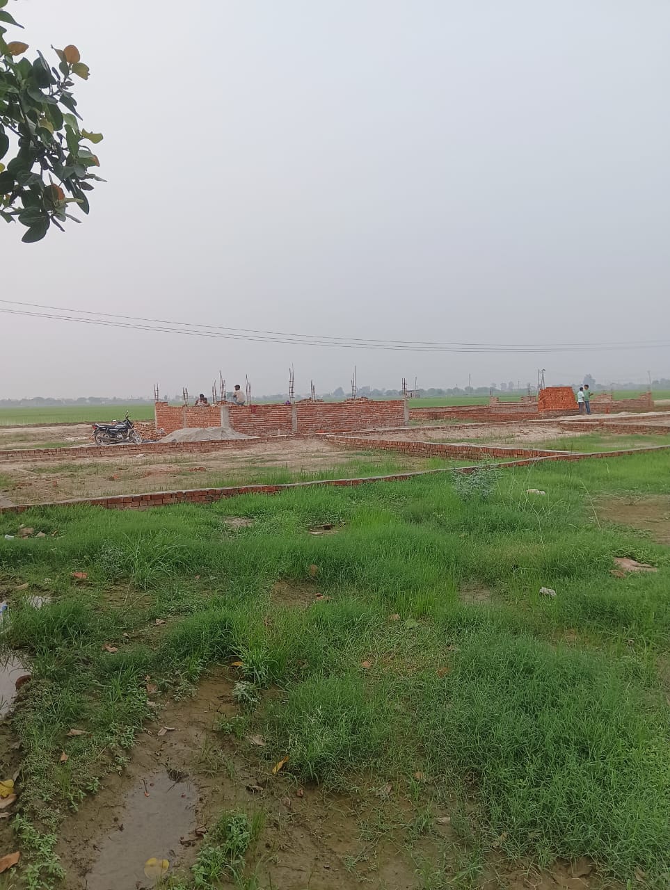 Plot For Resale in Sector 89 Faridabad  7710824